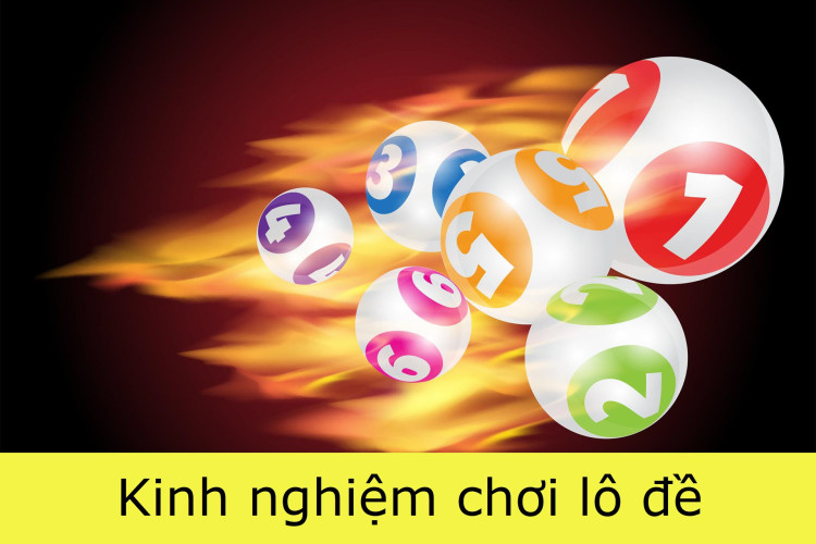 kinh nghiệm nuôi lô 1